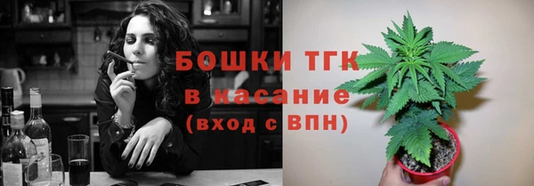 ПСИЛОЦИБИНОВЫЕ ГРИБЫ Балахна