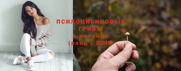 ПСИЛОЦИБИНОВЫЕ ГРИБЫ Балахна