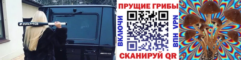 нарко площадка клад  Зеленогорск  Галлюциногенные грибы ЛСД 